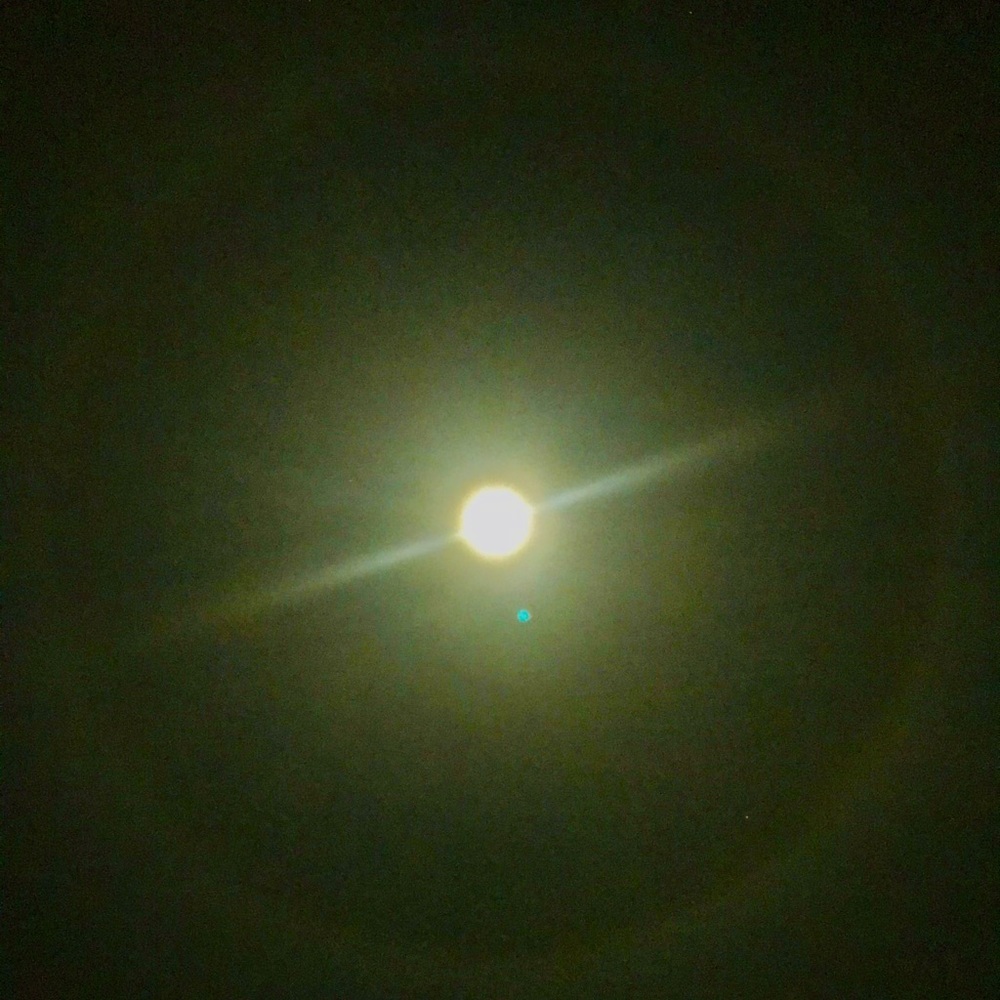 Meet your Posher, Nikola